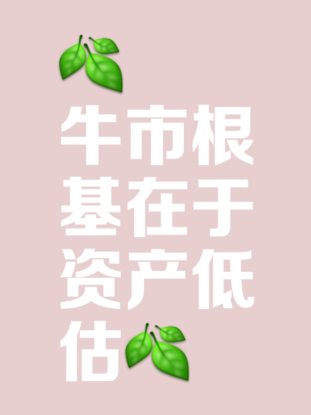 TON冲破24.36美元大关，牛市是否已来临？-九游体育官方网站